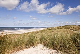 på stranden